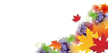 Autumn leaves grapes autumn backgroundのイラスト素材