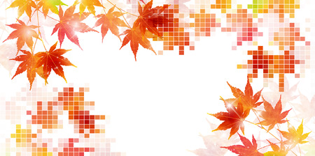 Autumn leaves autumn landscape backgroundのイラスト素材