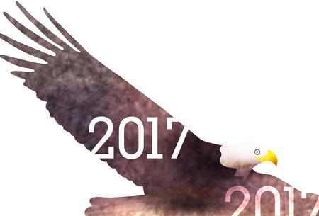 Rooster hawk New Year's card backgroundのイラスト素材
