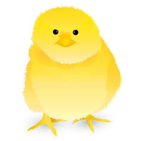 Rooster chick greeting cards iconのイラスト素材