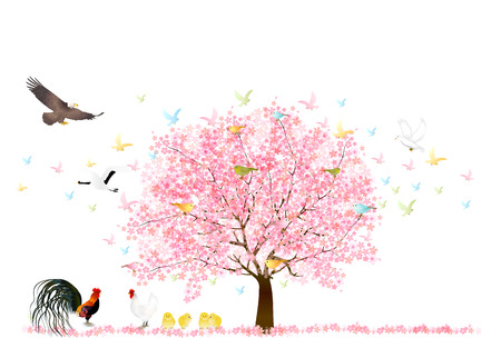 Rooster cherry tree New Year's card backgroundのイラスト素材
