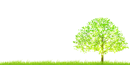 New green tree sky backgroundのイラスト素材