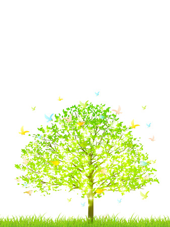 Fresh green tree Bird backgroundのイラスト素材