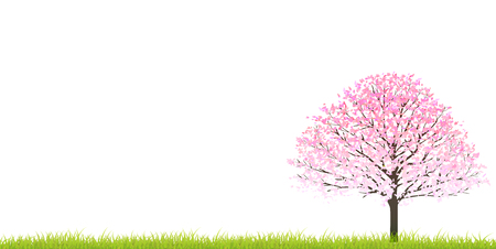 Cherry spring flower backgroundのイラスト素材