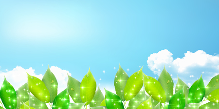 Fresh green natural scenery backgroundのイラスト素材