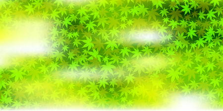 Fresh green maple green backgroundのイラスト素材