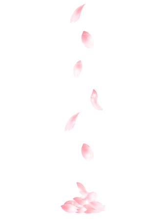 Cherry spring flower backgroundのイラスト素材
