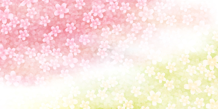 Cherry spring flower backgroundのイラスト素材