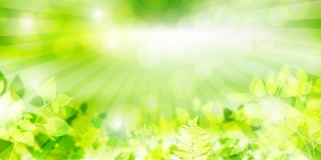 New green leaves landscape backgroundのイラスト素材