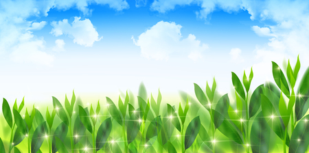 Green tea leaves backgroundのイラスト素材
