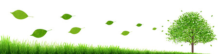 Fresh green leaf tree backgroundのイラスト素材