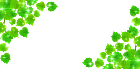 Fresh green leaf green backgroundのイラスト素材