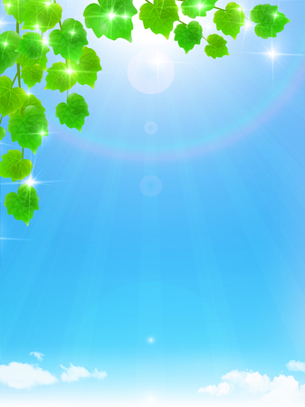 New green leaf sky backgroundのイラスト素材