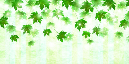 Maple fresh green leaf backgroundのイラスト素材