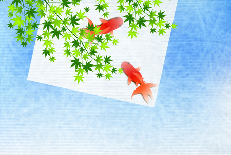 Maple goldfish hot summer sightseeing backgroundのイラスト素材