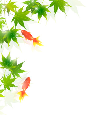 Maple goldfish hot summer sightseeing backgroundのイラスト素材