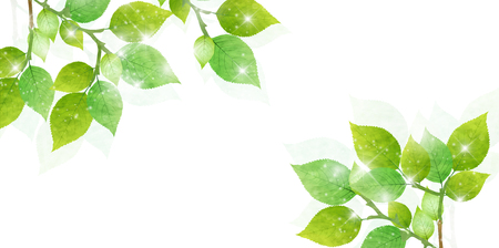 Fresh green leaves Spring background.のイラスト素材
