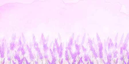 Lavender flower landscape backgroundのイラスト素材