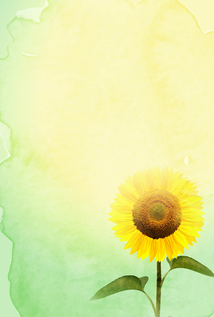 Sunflower hot summer flower backgroundのイラスト素材