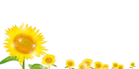 Sunflower summer flower backgroundのイラスト素材