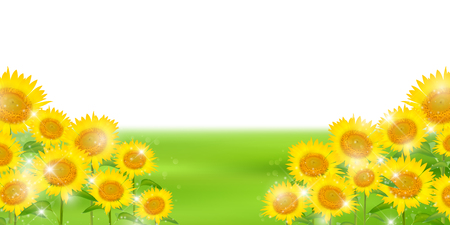 Sunflower summer flower backgroundのイラスト素材