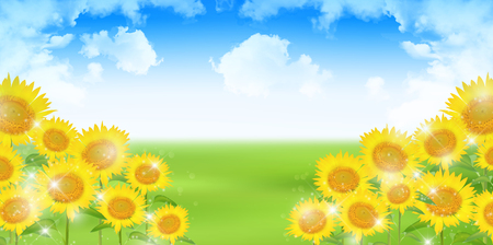 Sunflower summer flower backgroundのイラスト素材