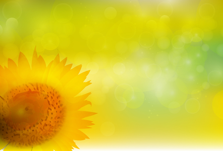 Sunflower summer flower backgroundのイラスト素材
