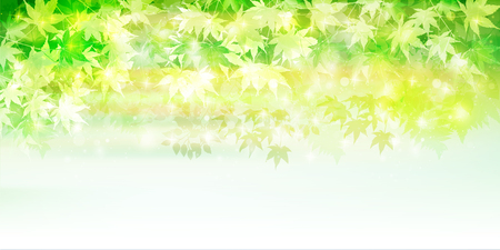Maple fresh green leaf backgroundのイラスト素材