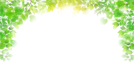 Fresh green leaves Spring backgroundのイラスト素材