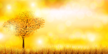 Maple autumn landscape backgroundのイラスト素材