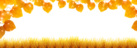 Autumn leaves scenery leaf backgroundのイラスト素材