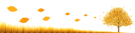 Autumn leaves Grass landscape backgroundのイラスト素材
