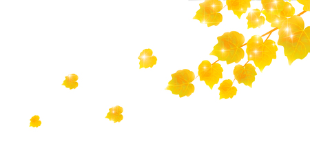 Maple leaves Maple scenery backgroundのイラスト素材