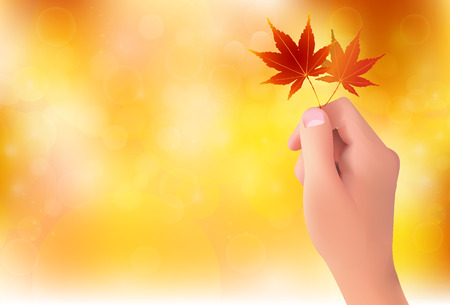 Maple autumn leaf backgroundのイラスト素材