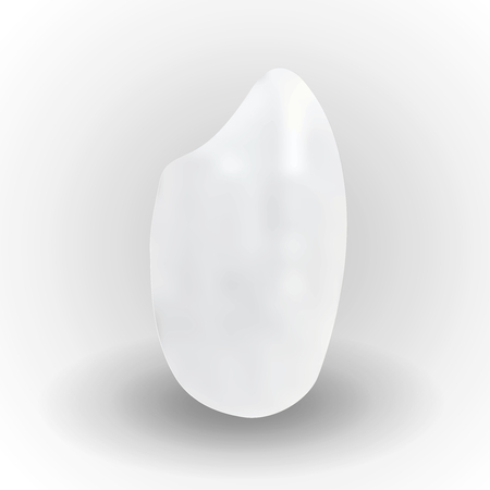 Rice Japanese food autumn iconのイラスト素材