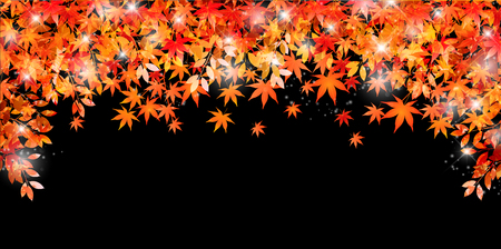 Maple autumn leaf backgroundのイラスト素材