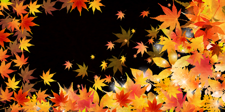 Maple autumn landscape backgroundのイラスト素材