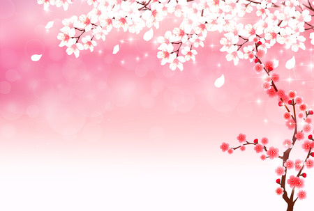 Cherry blossoms New Year card backgroundのイラスト素材