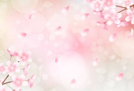 Cherry blossoms flowers spring background illustration.のイラスト素材