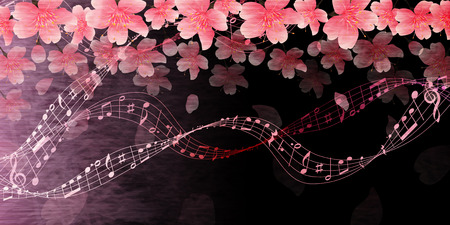 Cherry blossoms flowers spring background illustration.のイラスト素材
