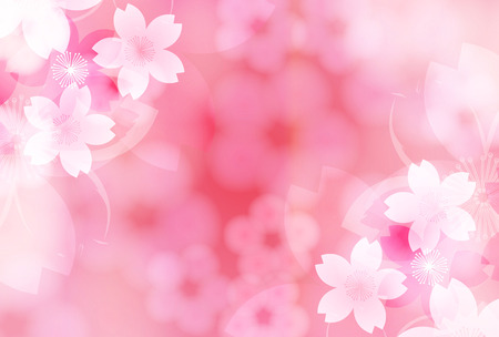 Cherry blossoms spring flower background illustration.のイラスト素材