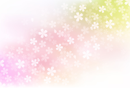 Cherry Blossoms spring flower background vector illustrationのイラスト素材