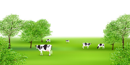 Cow ranch landscape backgroundのイラスト素材