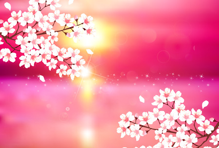Cherry Blossoms spring flower backgroundのイラスト素材