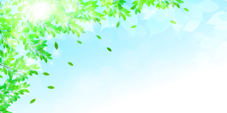 Fresh green leaves landscape backgroundのイラスト素材