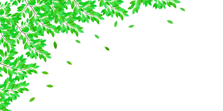 Fresh green leaves landscape backgroundのイラスト素材