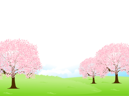 Cherry Blossoms spring flower backgroundのイラスト素材