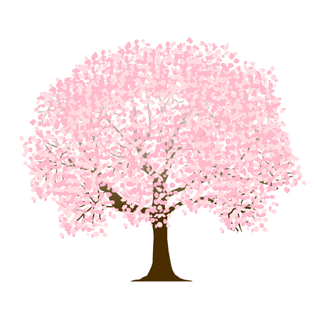 Cherry Blossoms Spring Flower Iconのイラスト素材