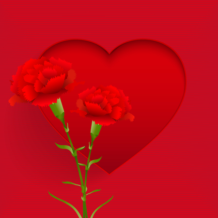 Carnation Mother's Day Flower with red heart on red background.のイラスト素材