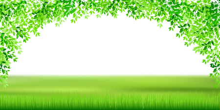 Fresh green leaves landscape backgroundのイラスト素材